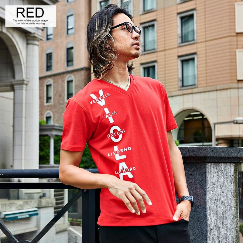 SALE】VIOLA【ヴィオラ】裏使いV/N半袖Tシャツ/全3色【メール便対応 