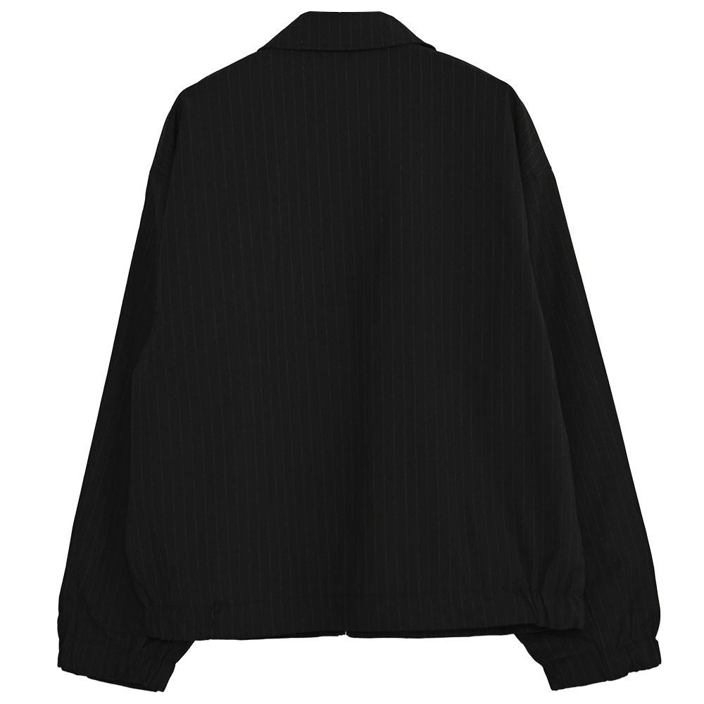 CavariA【キャバリア】ストライプジップジャケット/全2色 | SILVER