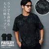 ARULE【アルール】ペイズリー汚し半袖Tシャツ/全1色