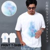 ARULE【アルール】半袖Tシャツ